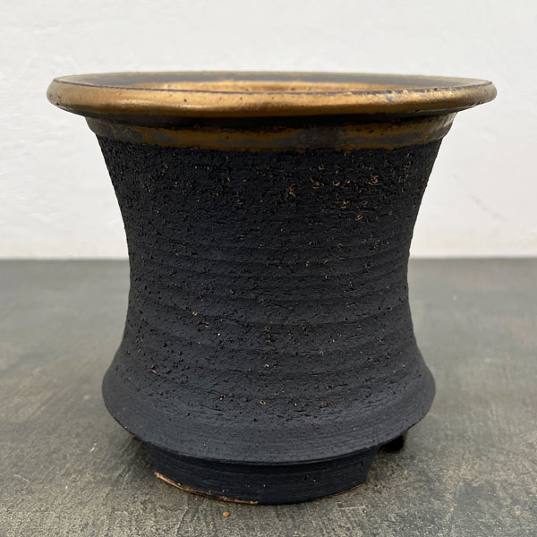 信楽焼き：金彩オモト 5号（直径約15cm）