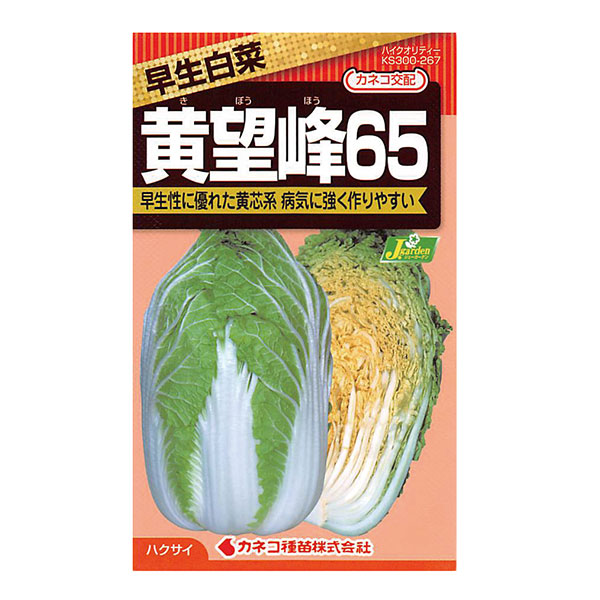 ハクサイ（白菜）：黄望峰65（さぼうほう）[野菜タネ]