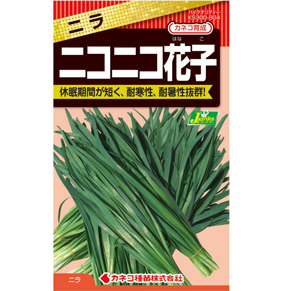 ニラ：ニコニコ花子（はなこ）[2-4月まき　野菜タネ]