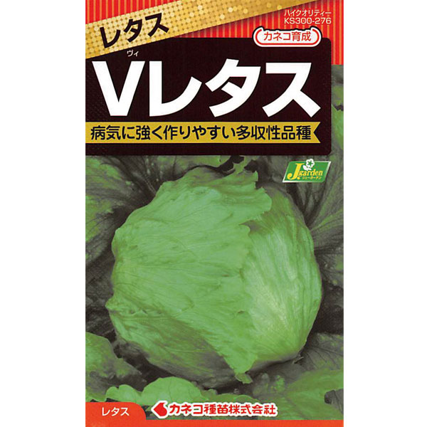 レタス：病気に強い Vレタス[春・夏まき 野菜タネ]*