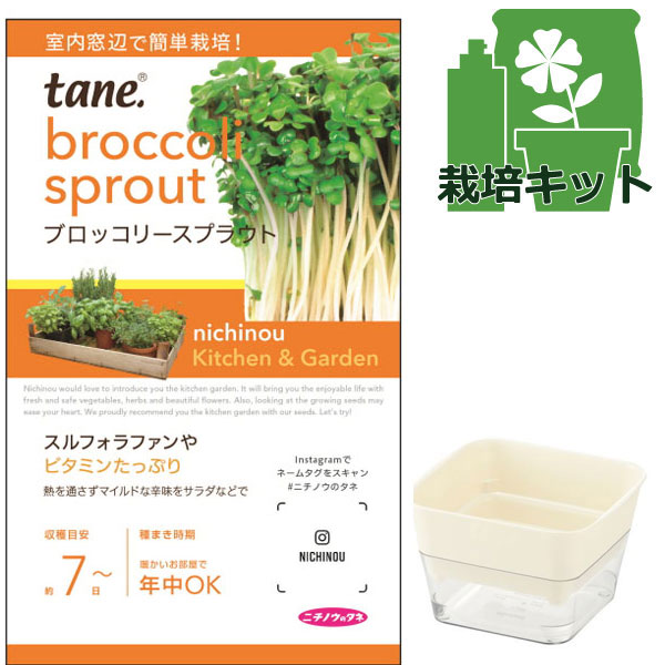 栽培セット（スプラウトファーム12型Nアイボリー）：ｔａｎｅ，ブロッコリースプラウト（種付き）