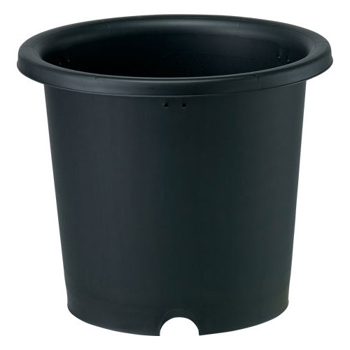 菊鉢8号（直径27cm）ブラック 3個セット