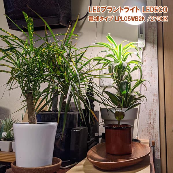 LEDプラントライト:レデコ LPL05WB2K 植物育成用LED 電球タイプ