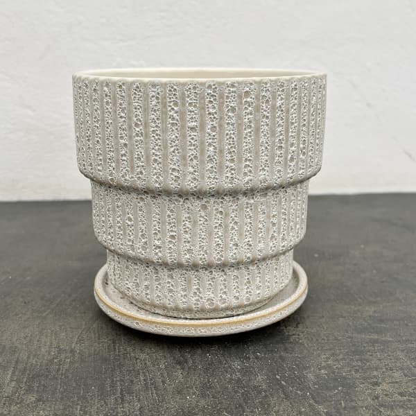 ソル：ラインL　ホワイト4435（直径14cm）・皿付