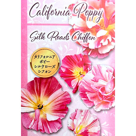 カリフォルニアポピー：シルクローズシフォン3.5号ポット