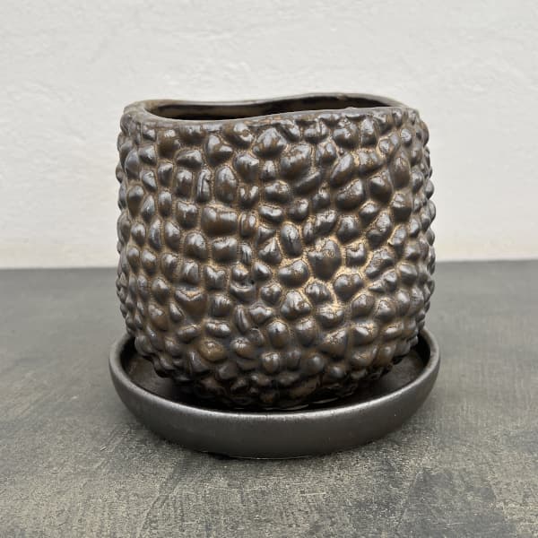 ソル：ジャックS　ブロンズ4475（直径13.5cm）・皿付