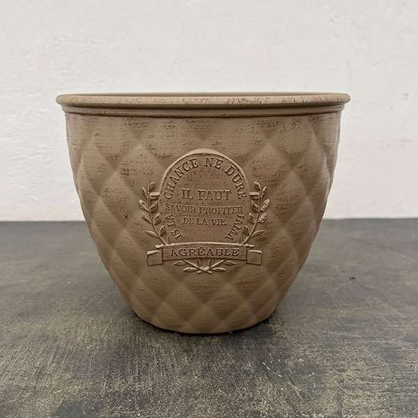 イルフォサークルSBEベージュ（MS1449）