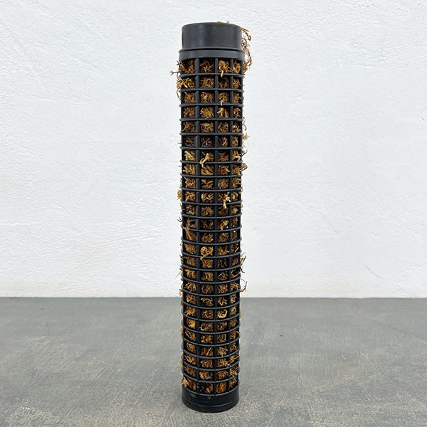 モスポール:黒(ミズゴケ付き)(長さ29cm)
