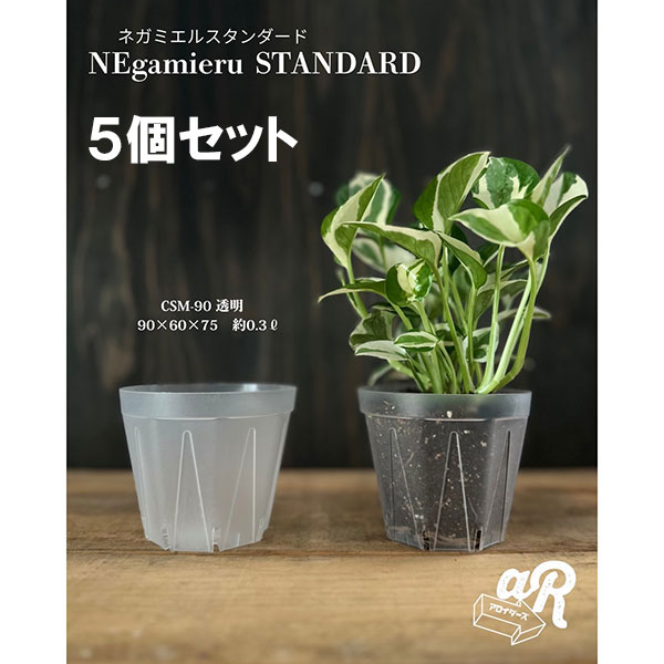 スリット鉢(透明):ネガミエルスタンダード3号 5個セット
