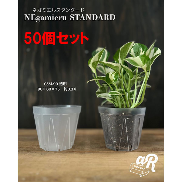 スリット鉢(透明):ネガミエルスタンダード3号 50個セット