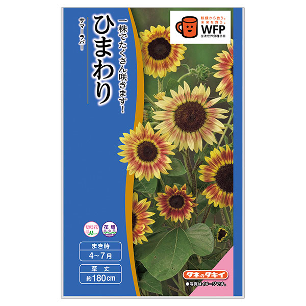 ヒマワリ：F1サマーラバー[春～夏まき タキイ 花タネ]