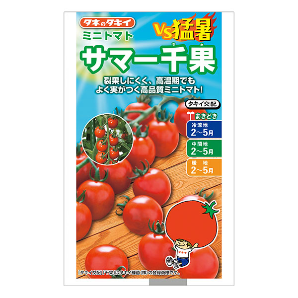 ミニトマト：サマー千果[タキイ 野菜タネ]