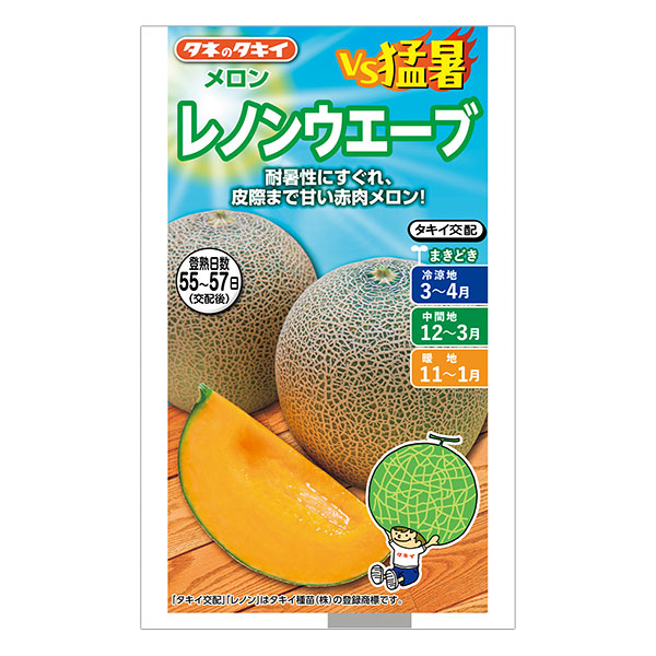 メロン：レノンウェーブ[春まき タキイ 野菜タネ]
