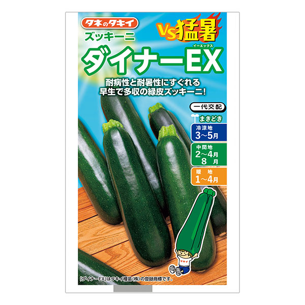 ズッキーニ：ダイナーEX[春まき タキイ 野菜タネ]