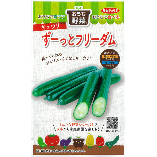 キュウリ：ずーっとフリーダム　の種[サカタ　野菜タネ　「おうち野菜」シリーズ]