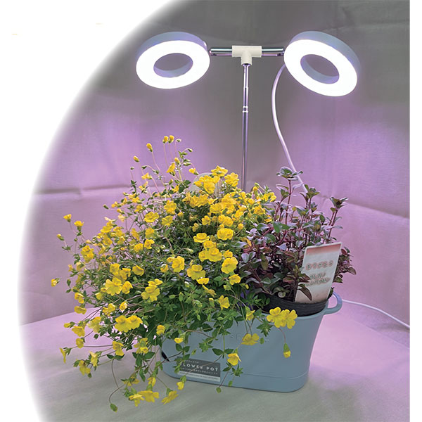 植物育成用 卓上LED アンジェ（LED植物育成ライト）