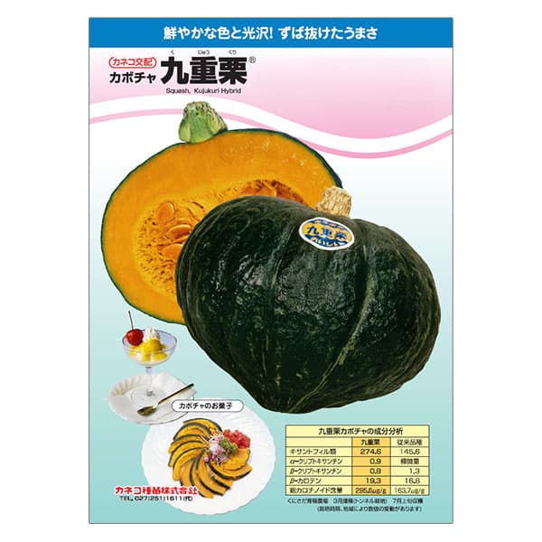 カボチャ：ホクホクおいしい 九重栗 [野菜タネ]*