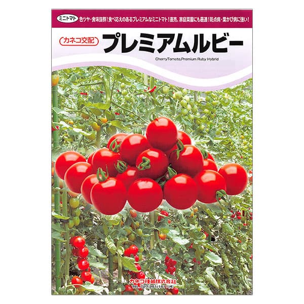 ミニトマト：甘い宝石 プレミアムルビー[野菜タネ]*