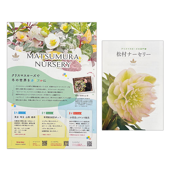 【会員プレゼント!】クリスマスローズ専門家・松村ナーセリー パンフレットセット