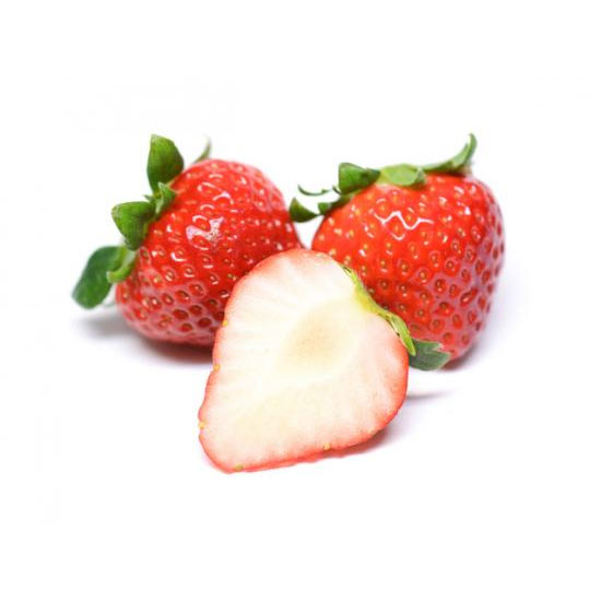 [26年2月中下旬予約]イチゴ（一季なり）：恋みのり4号ポット(PVP)