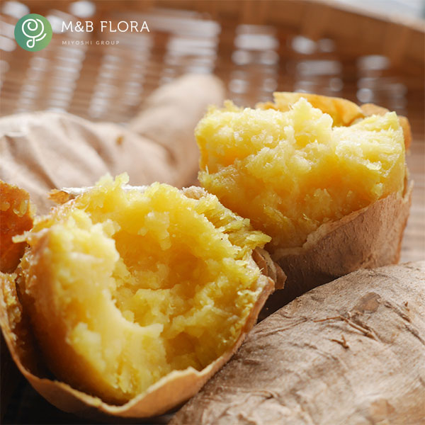 サツマイモ：きみまろこ4連カットパック