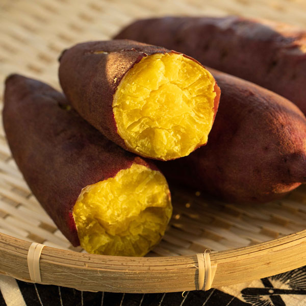 [26年4月下旬予約]サツマイモ苗：栗かぐや(R)3号ポット(PVP)