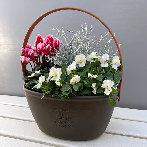 季節のミニ寄せ植え：ビオラももか　みるくももか（ワンハンドプランター・ブラウン）