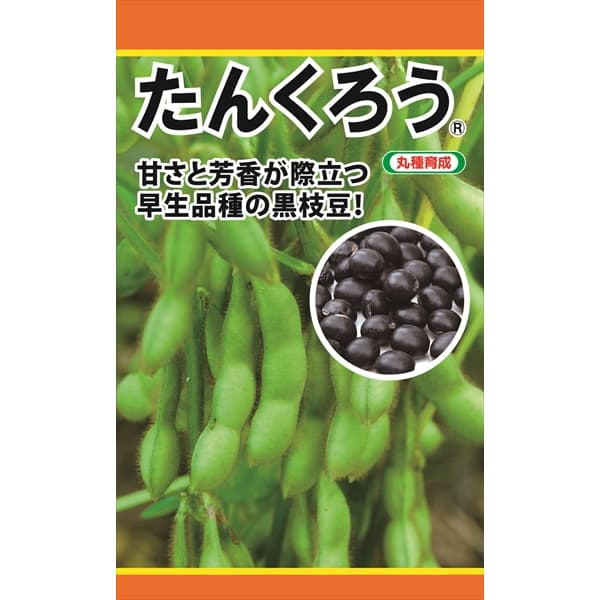 エダマメ：たんくろう の種[甘さと香り際立つ黒枝豆　野菜タネ]
