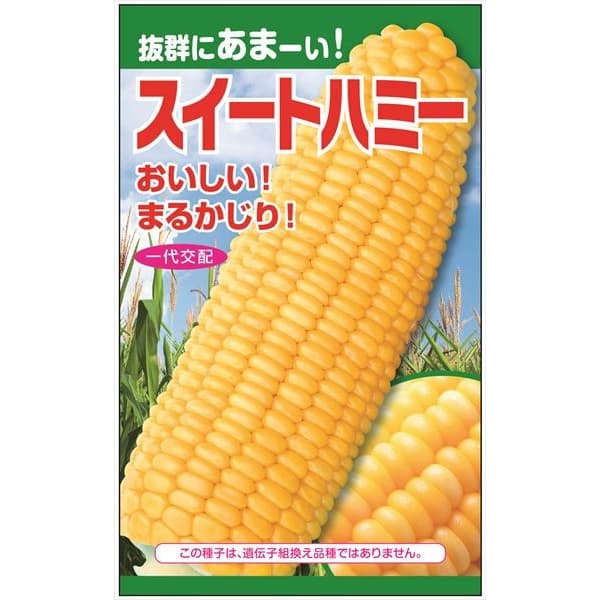 トウモロコシ（スイートコーン）：スイートハミー の種[抜群に甘い！　野菜タネ]