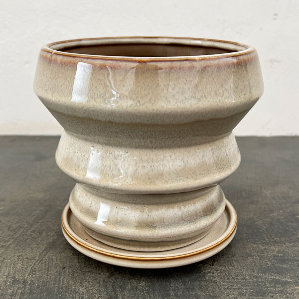 アガタ：白L（直径約15cm・皿付）