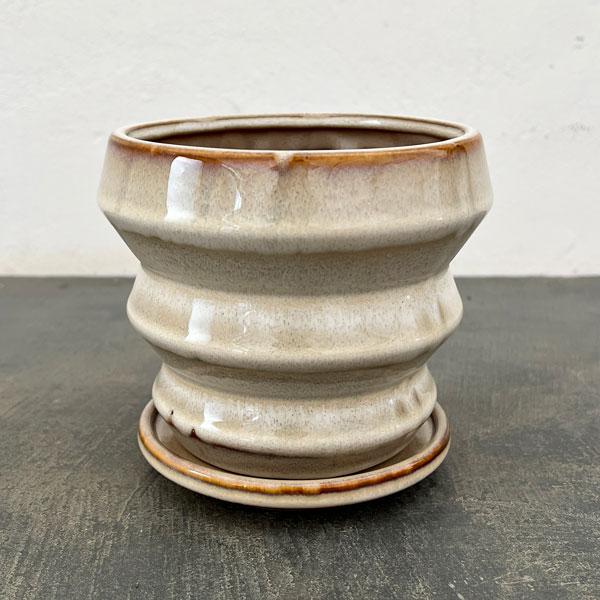 アガタ：白M（直径約13cm・皿付）