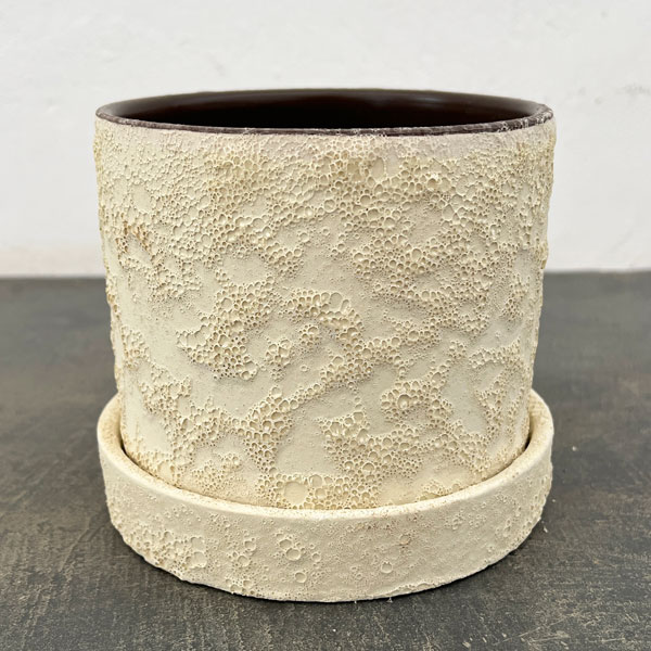 ジュリア：白L（直径12cm）・受け皿付