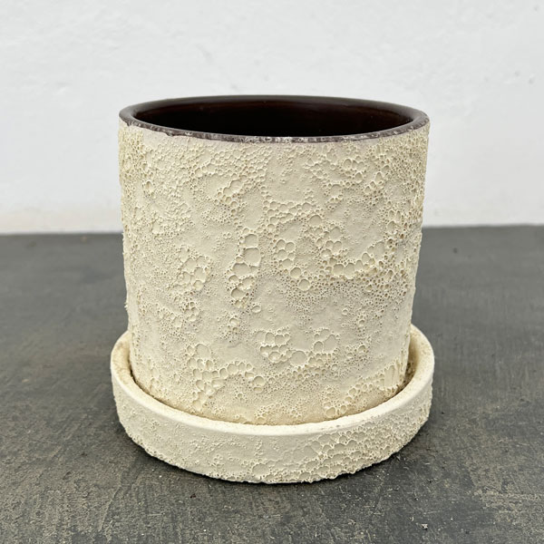 ジュリア：白M（直径10cm）・受け皿付