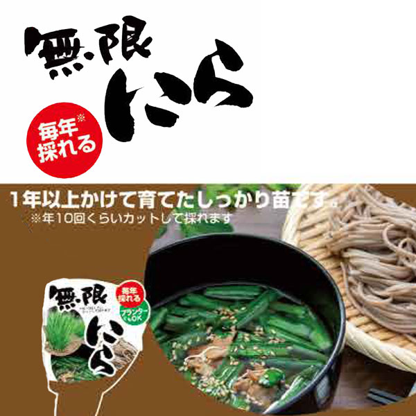 [26年4月上旬予約]無限にら3号ポット12ポットセット