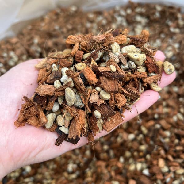 [送料無料]ねこチップ(Mサイズ)　5リットル 10袋セット