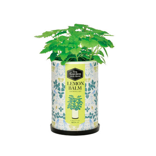 [ギフトに]ティーガーデン：レモンバーム