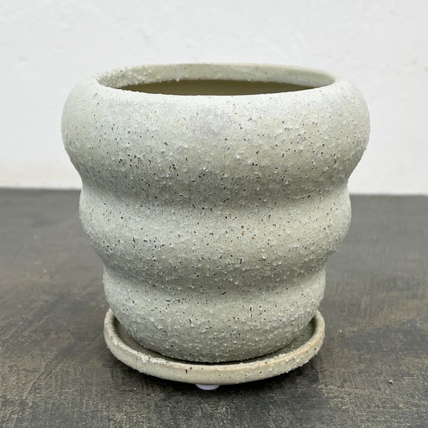 マノン：薄緑M（直径約12cm）・受け皿付