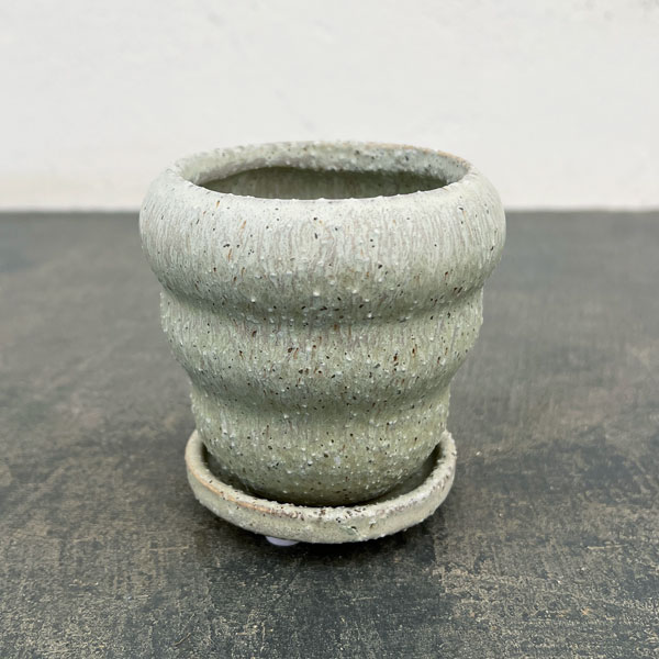 マノン：薄緑S（直径8cm）・受け皿付