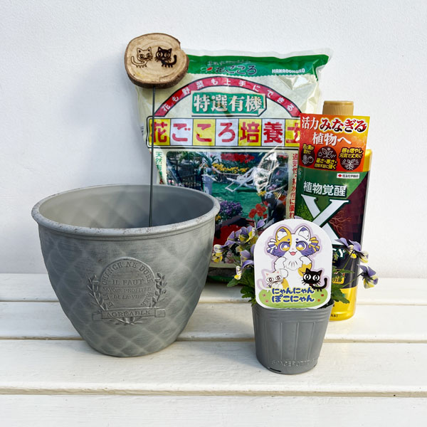 見元園芸さんのビオラ：にゃんにゃんぽこにゃん植え込みセット（グレー鉢・エックスエナジー付）