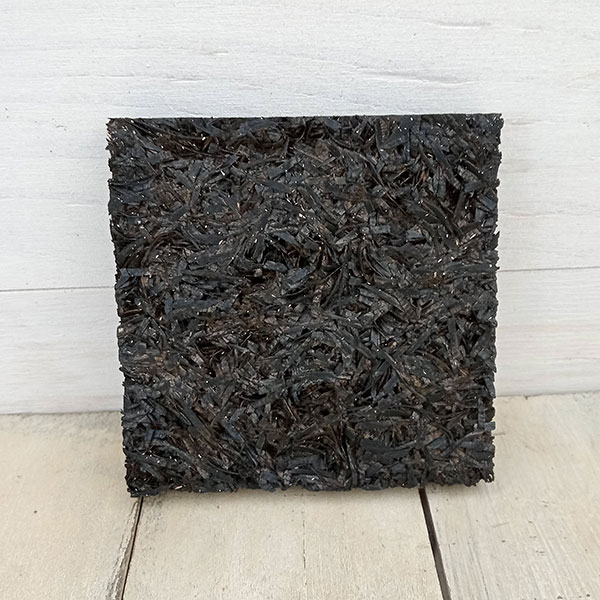 [棚卸セール]フェゴ着生ボード100（10×10cm） 10個セット