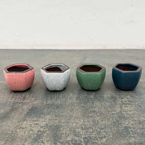 マメポットB　六角形（直径6cm） 4色セット