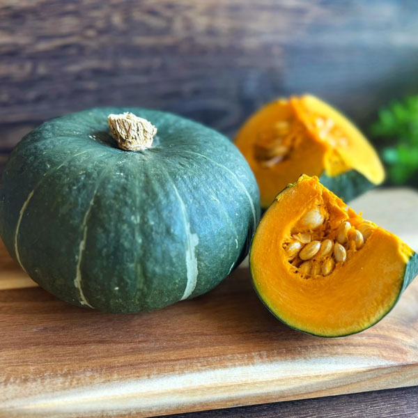 [送料無料][26年4月下旬予約]カボチャ（ミニ）：坊ちゃん 自根苗3.5号ポット 24株セット