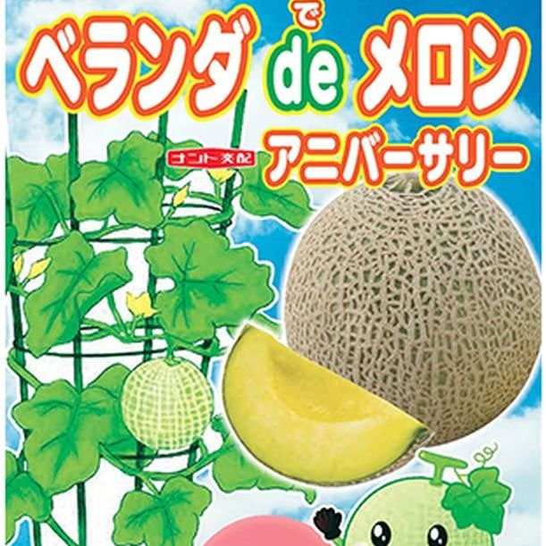 [送料無料][26年4月下旬予約]メロン：ベランダでメロン：アニバーサリー自根苗3.5号ポット 24株セット