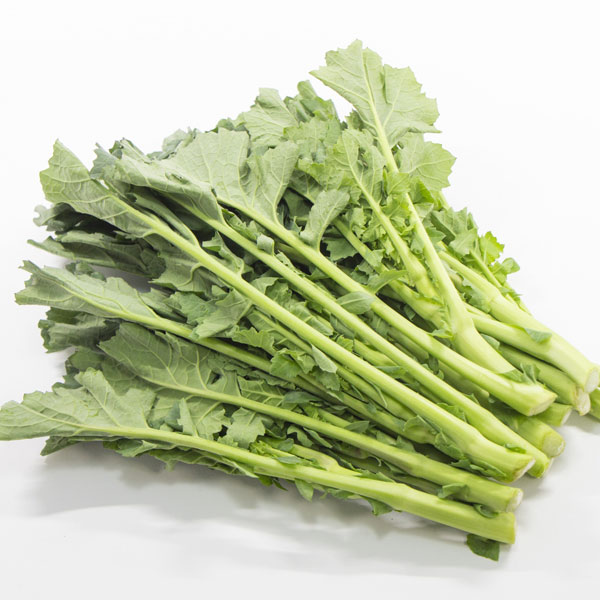 のらぼう菜3.5号ポット苗　