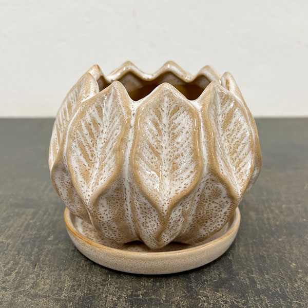 ソル：リブS　ホワイト4587（直径12cm）・皿付