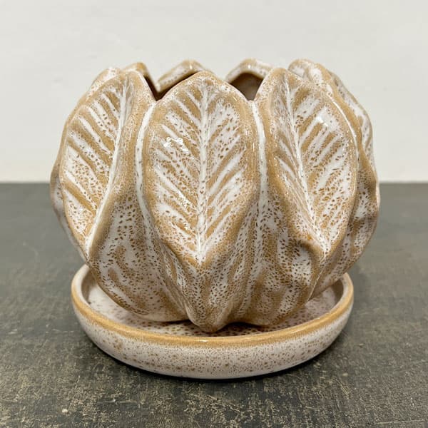 ソル：リブM　ホワイト4588（直径14cm）・皿付