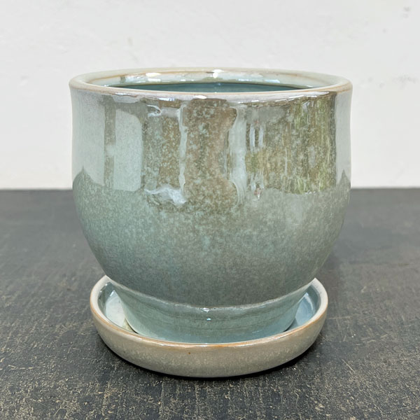 ソル：ベルS　パール4557（直径12cm）・皿付