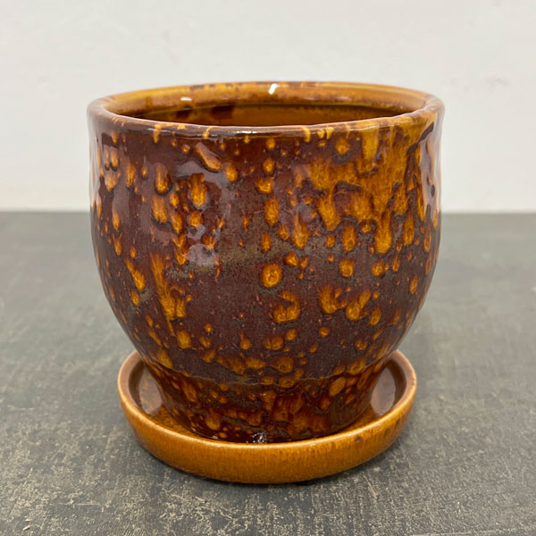 ソル：ベルS　イエロー4561（直径12cm）・皿付