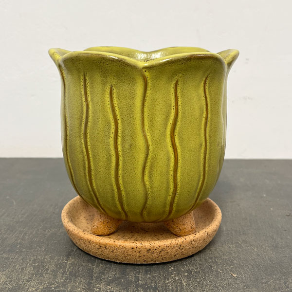 ソル：リップM　イエロー4123（直径15cm）・皿付