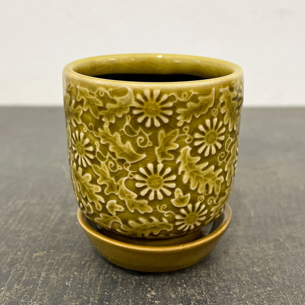 ソル：フロルミニ　イエロー4145（直径7cm）・皿付